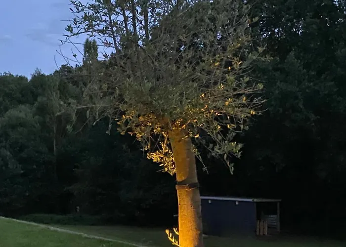 Eifel-mosel-hideaway Landscheid