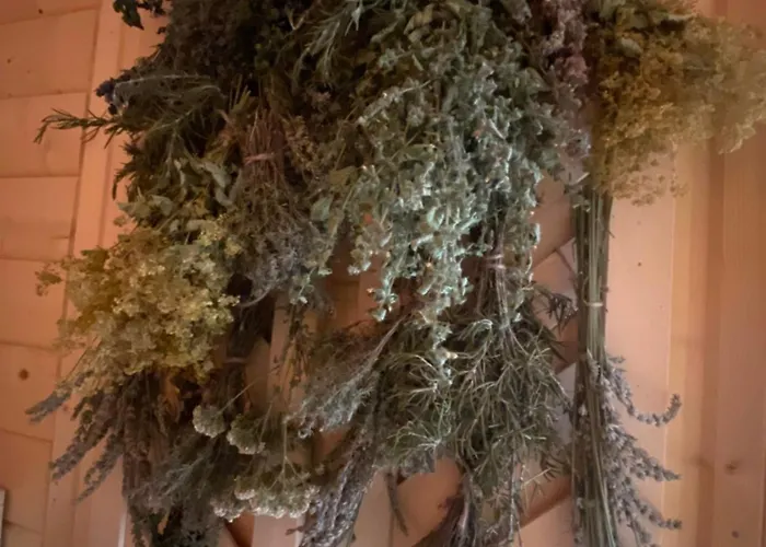 Σπίτι διακοπών Eifel-mosel-hideaway Landscheid